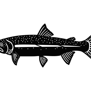 Flat silhouette of a steelhead trout crafted from 1/8-inch aluminum. The design features detailed cutouts representing the fish's scales and fins, with a sleek, artistic outline. The wall art has a natural aluminum finish, making it ideal for fishing-themed home décor. Displayed against a plain background.